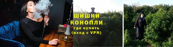 ГАЛЛЮЦИНОГЕННЫЕ ГРИБЫ Абаза