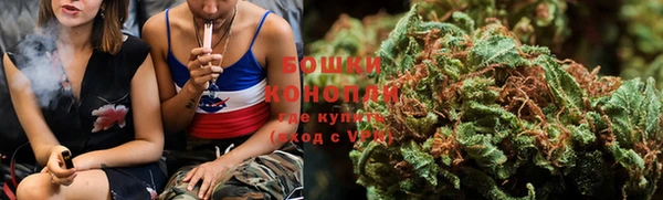 ГАЛЛЮЦИНОГЕННЫЕ ГРИБЫ Абаза