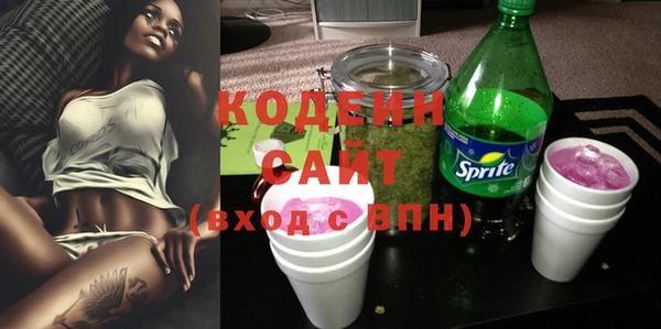 ГАЛЛЮЦИНОГЕННЫЕ ГРИБЫ Абаза