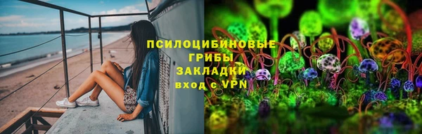 ГАЛЛЮЦИНОГЕННЫЕ ГРИБЫ Абаза