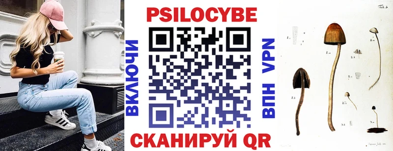 где купить наркотик  Стерлитамак  Псилоцибиновые грибы GOLDEN TEACHER 